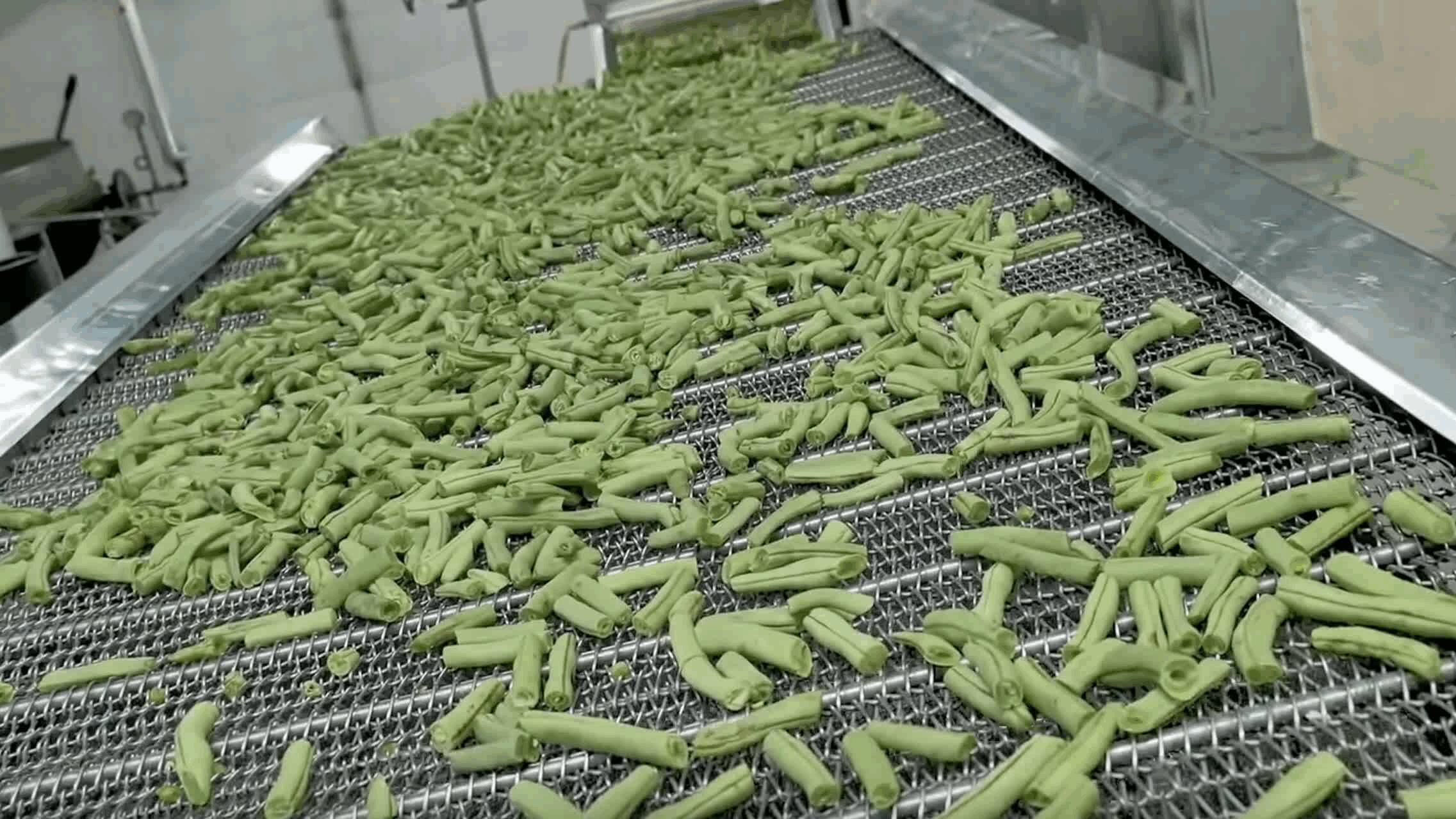 豆角油炸生产线