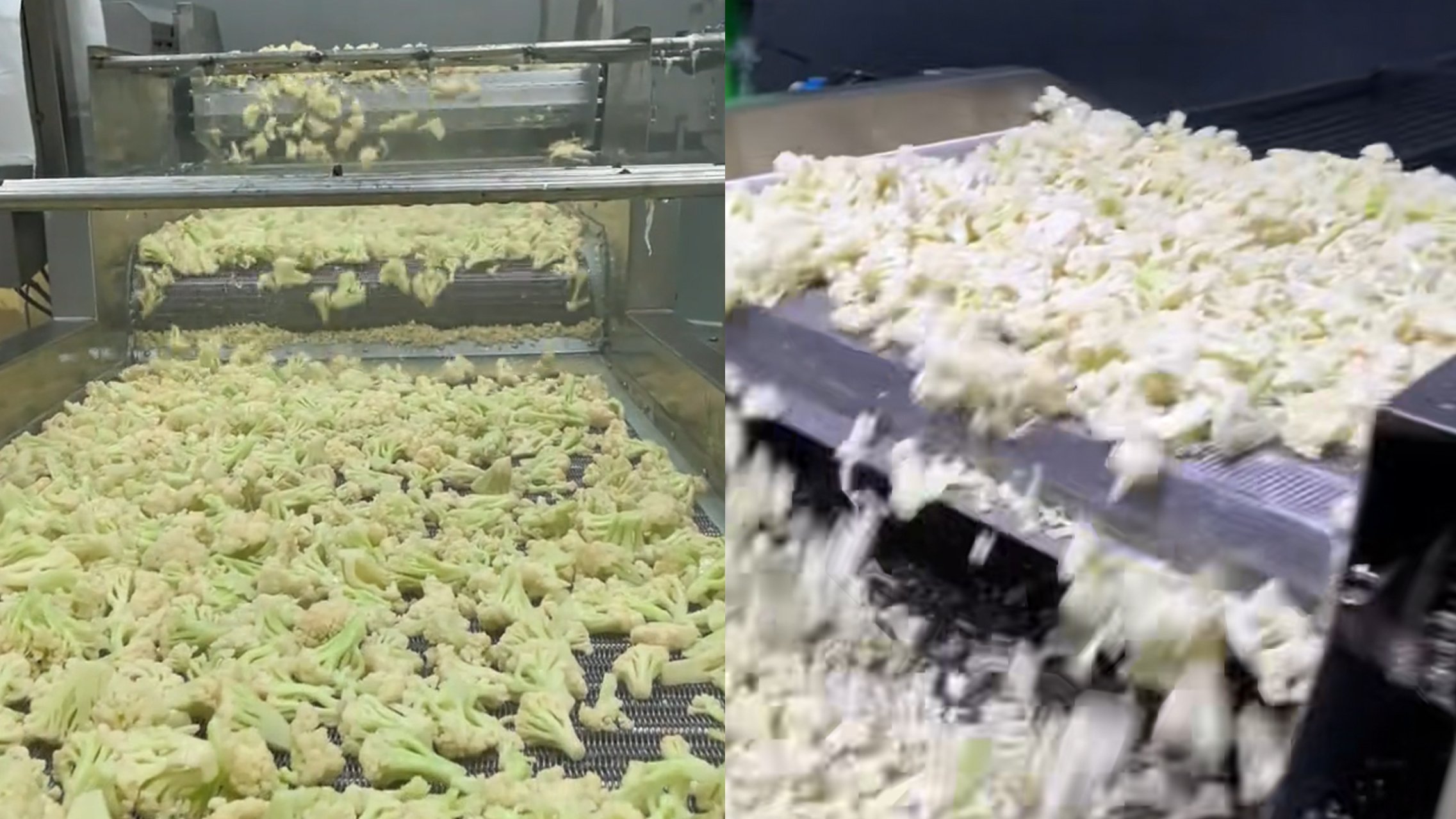 花菜清洗加工生产线