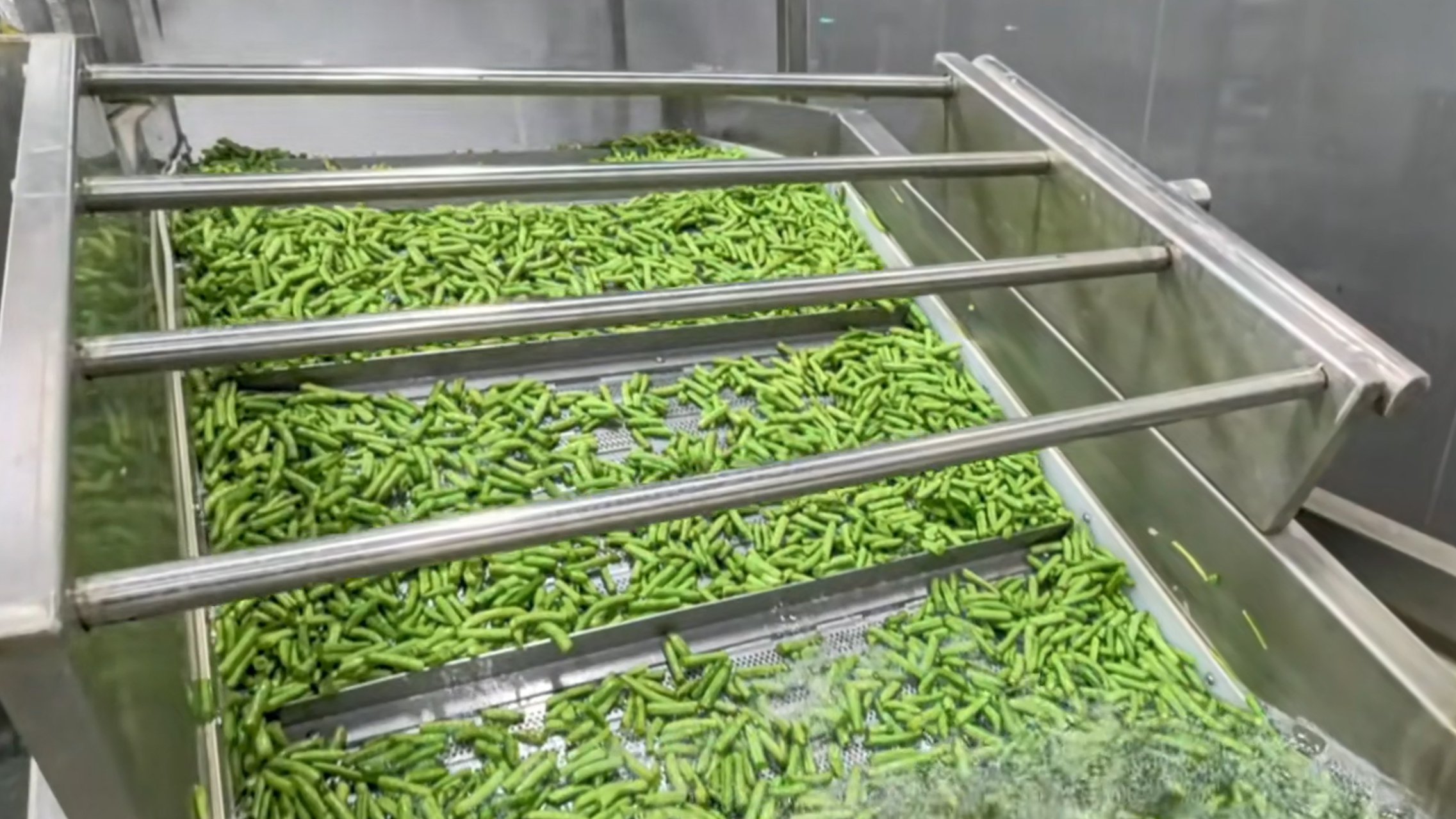 豆角清洗加工生产线