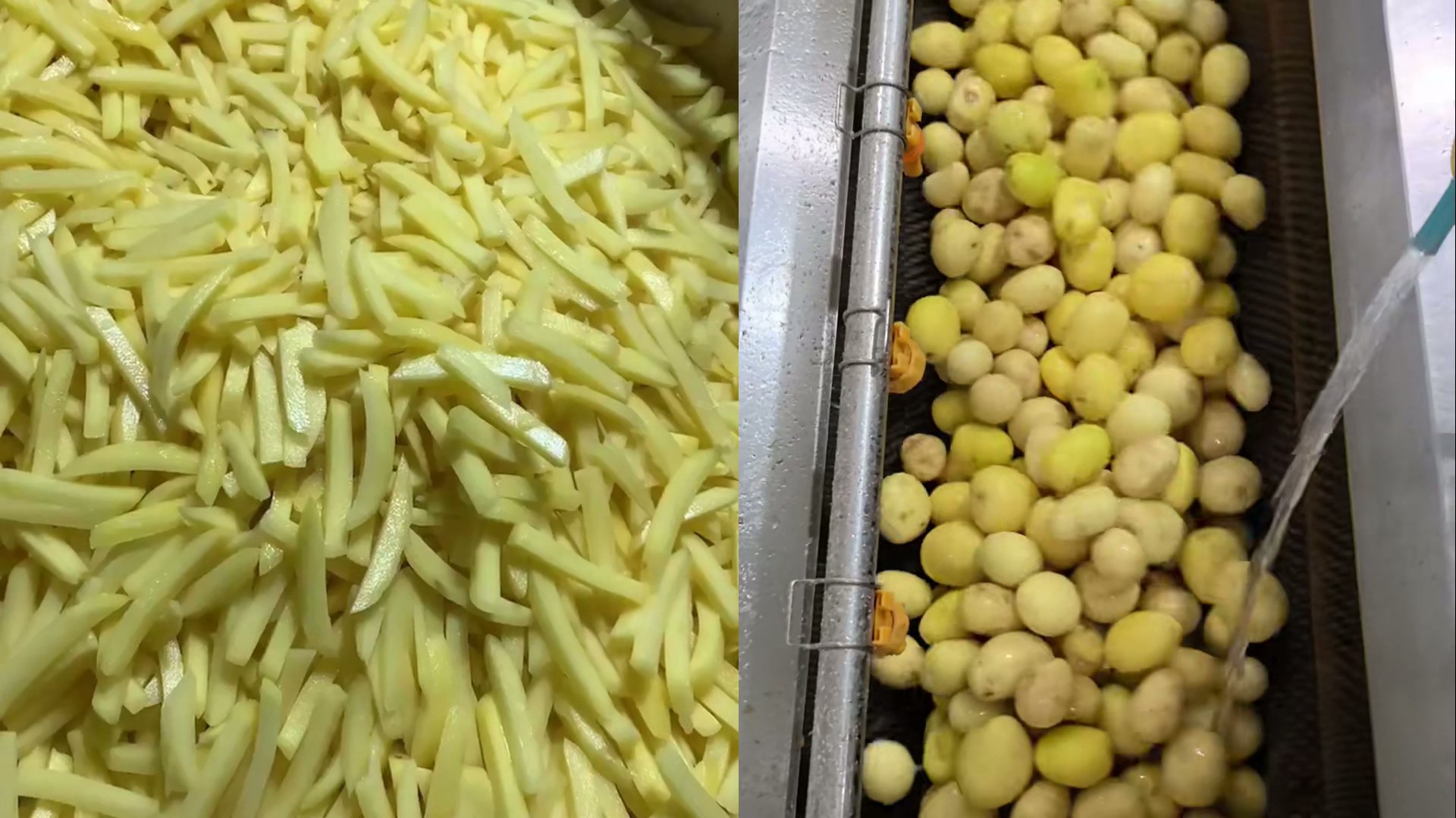 土豆清洗加工